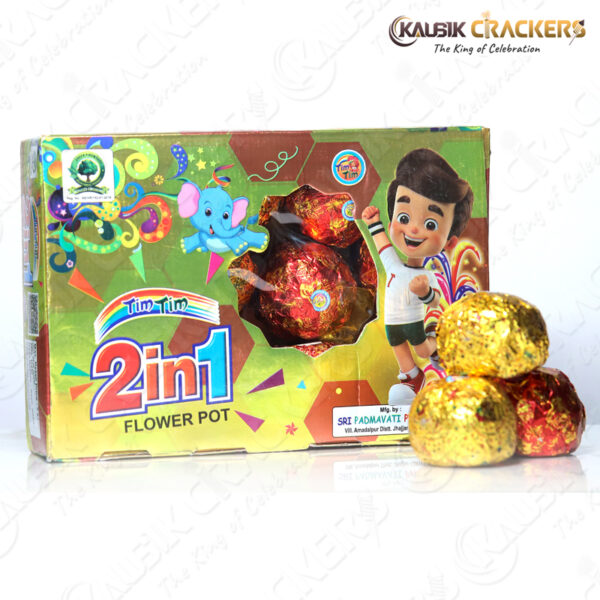 2 in 1 ( 10 Pcs ) | Box