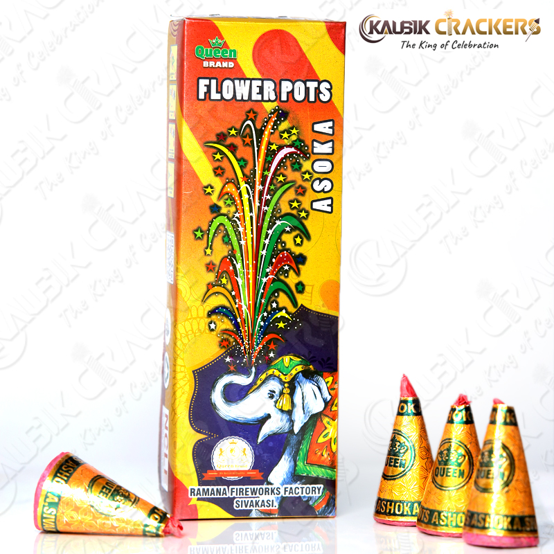 Flower Pots Ashoka | Box